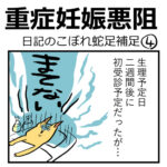 「重症妊娠悪阻日記」蛇足補足４