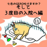 七色のGERO吐けますか？３度目の入院へ編第１１話