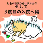 七色のGERO吐けますか？３度目の入院へ編第１７話